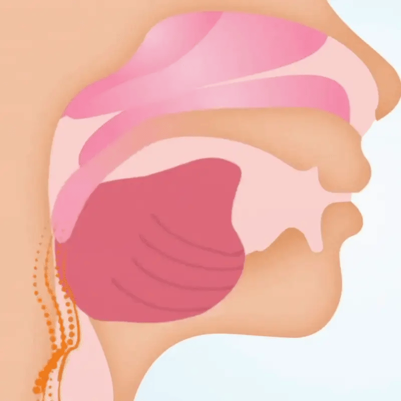 <p>Snoring is more than an annoyance — it affects <em>your health and your home</em>.</p>